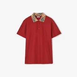 Check Collar Cotton Polo Shirt