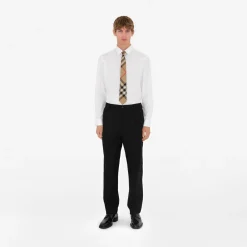 Check Silk Tie