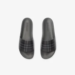 Check Slides
