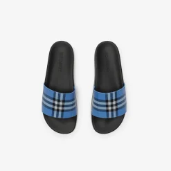 Check Slides