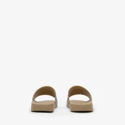 Check Slides