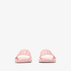 Check Slides