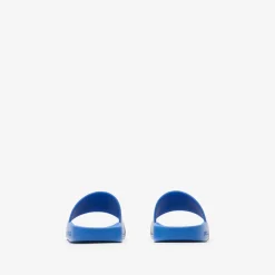 Check Slides