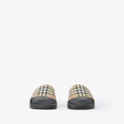 Check Slides