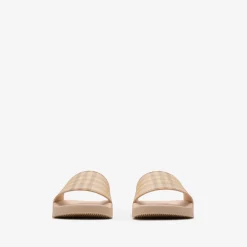 Check Slides