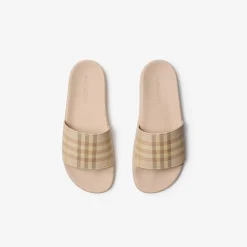 Check Slides