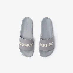 Logo Slides