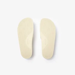 Logo Slides