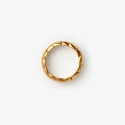 Shield Segment Ring